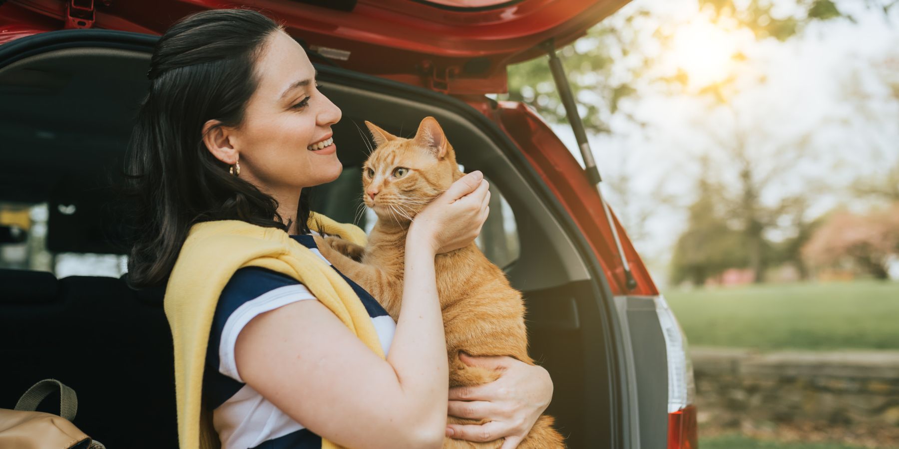 Discover Cat-Friendly Travel Destinations: Where to Go?