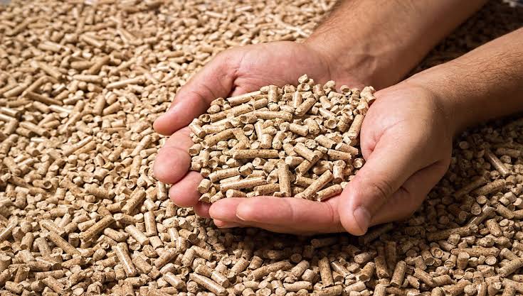 What Do You Need to Make Wood Pellets