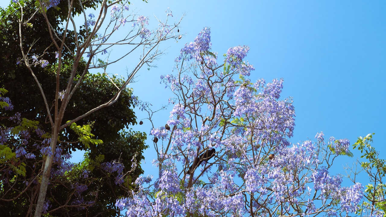 How Gas Model Of Pressure Washer More Convenient To Use