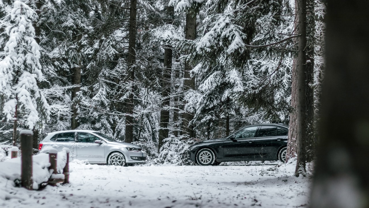 How to Shop For a Strong Polo Mallet